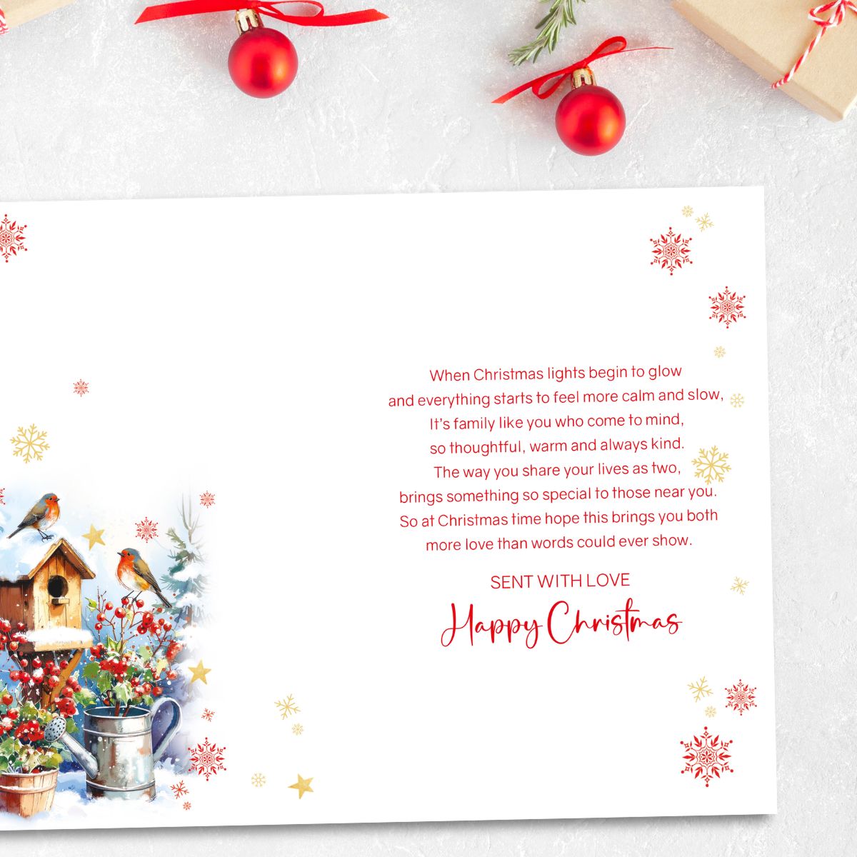 Brother & Sister-In-Law Christmas Card - Robins & Birdhouse