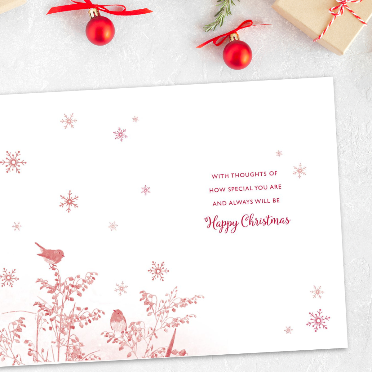 Grandad Christmas Card - Plant Pots & Robins