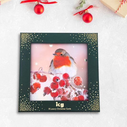 8 x Christmas Cards In Box - Photographic Robin & Berries
