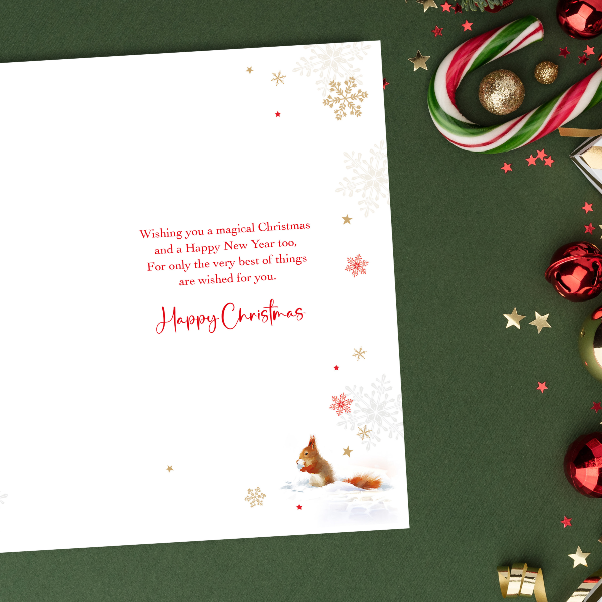 Neighbour Christmas Card - Squirrel At The Door