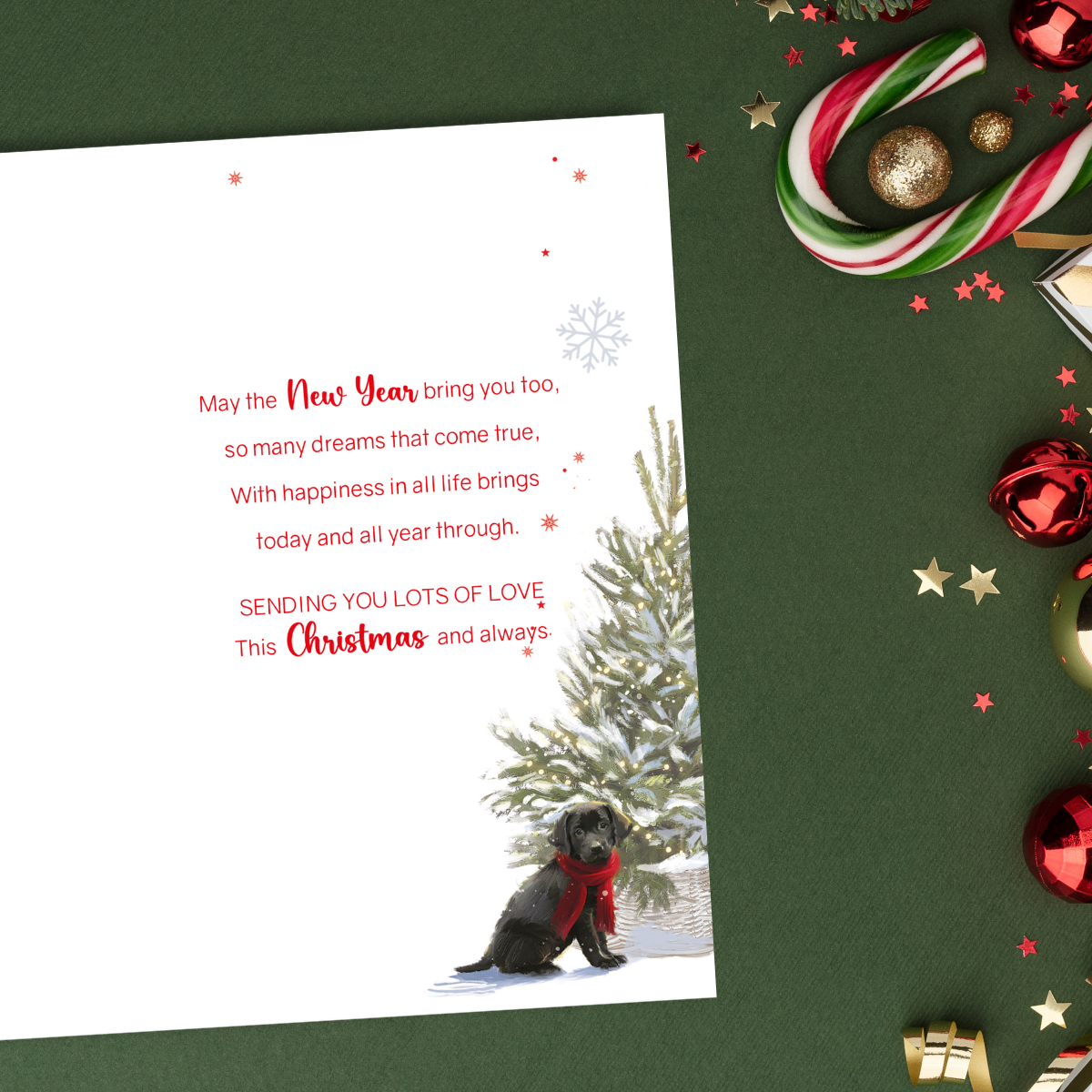 Son Christmas Card - Puppy At The Door