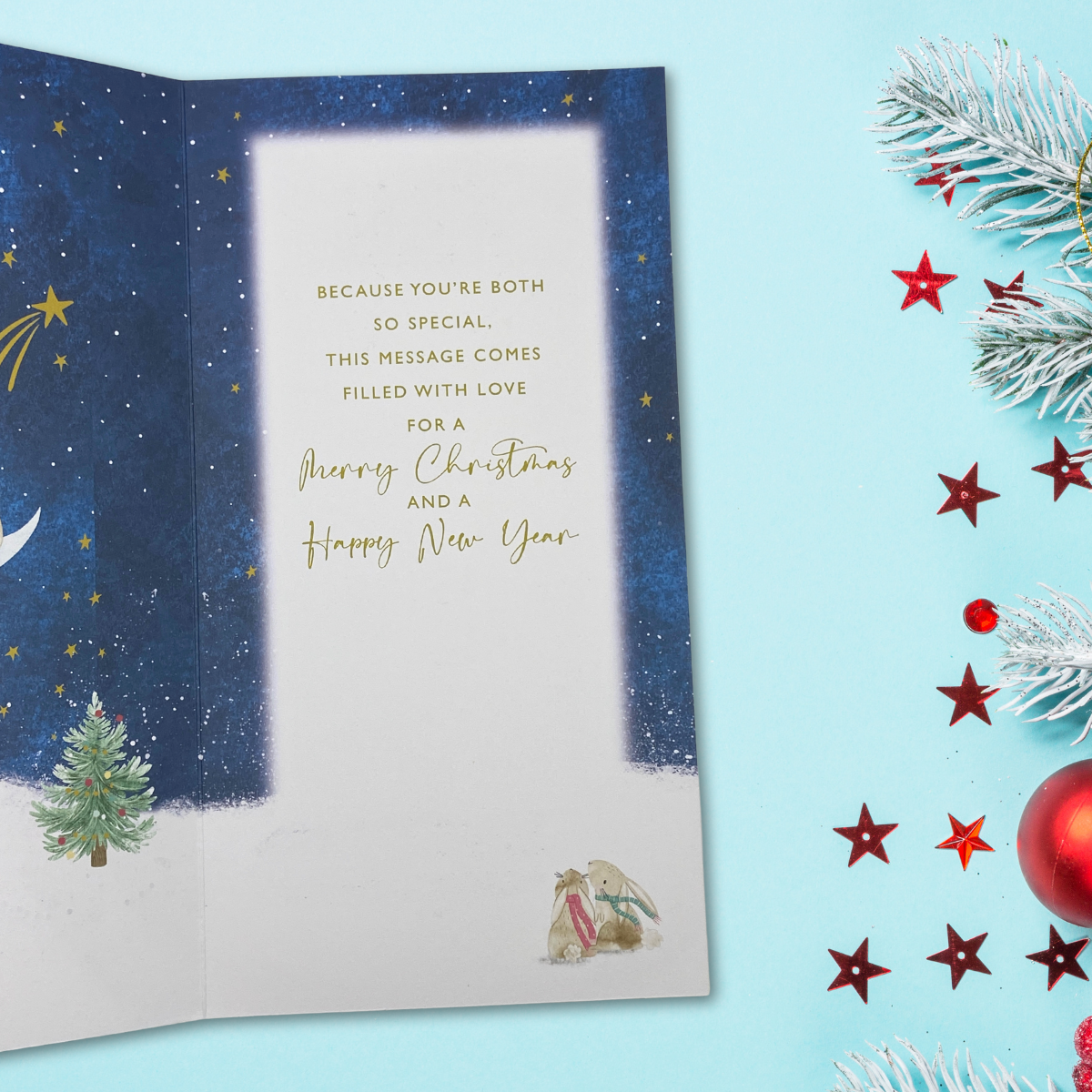 Special Couple Christmas Card - Rabbits On the Moon