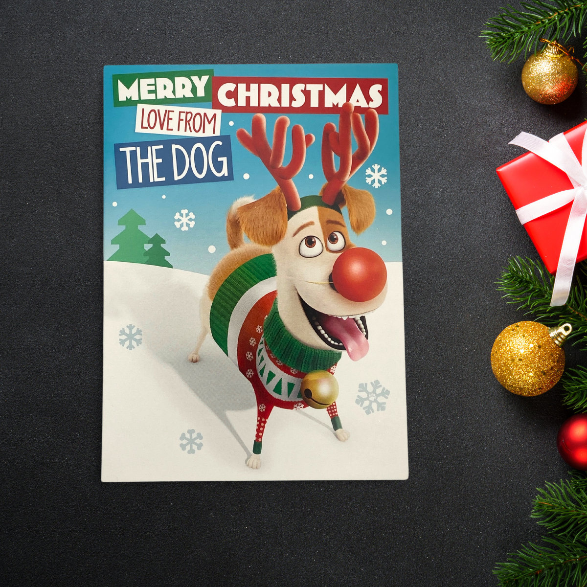 From The Dog Christmas Card - Secret Life Of Pets