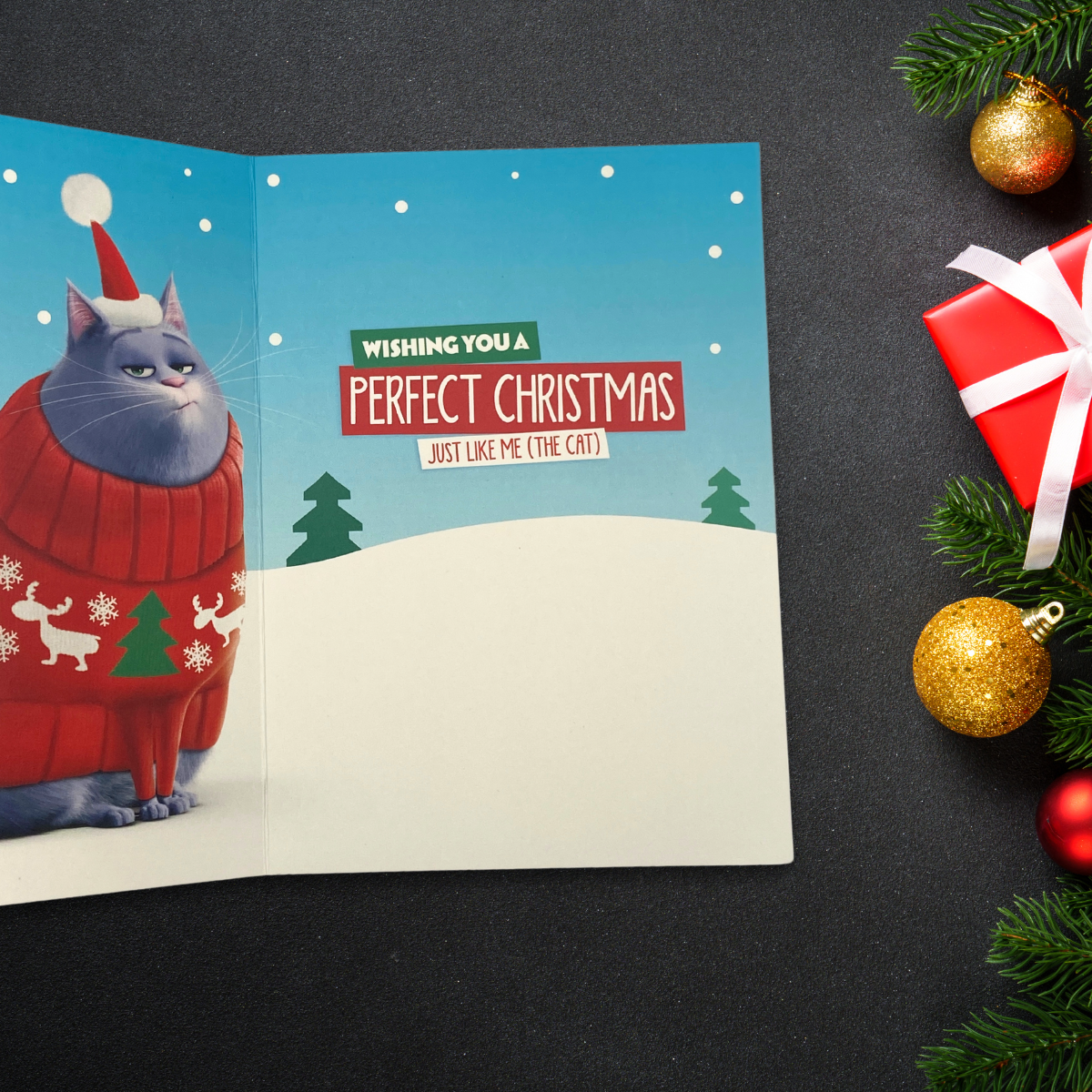 From The Cat Christmas Card - Secret Life Of Pets