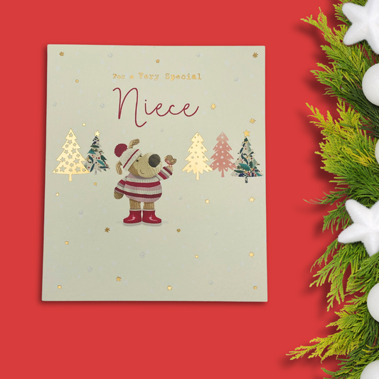 Niece Christmas Card - Boofle Bear & Robin