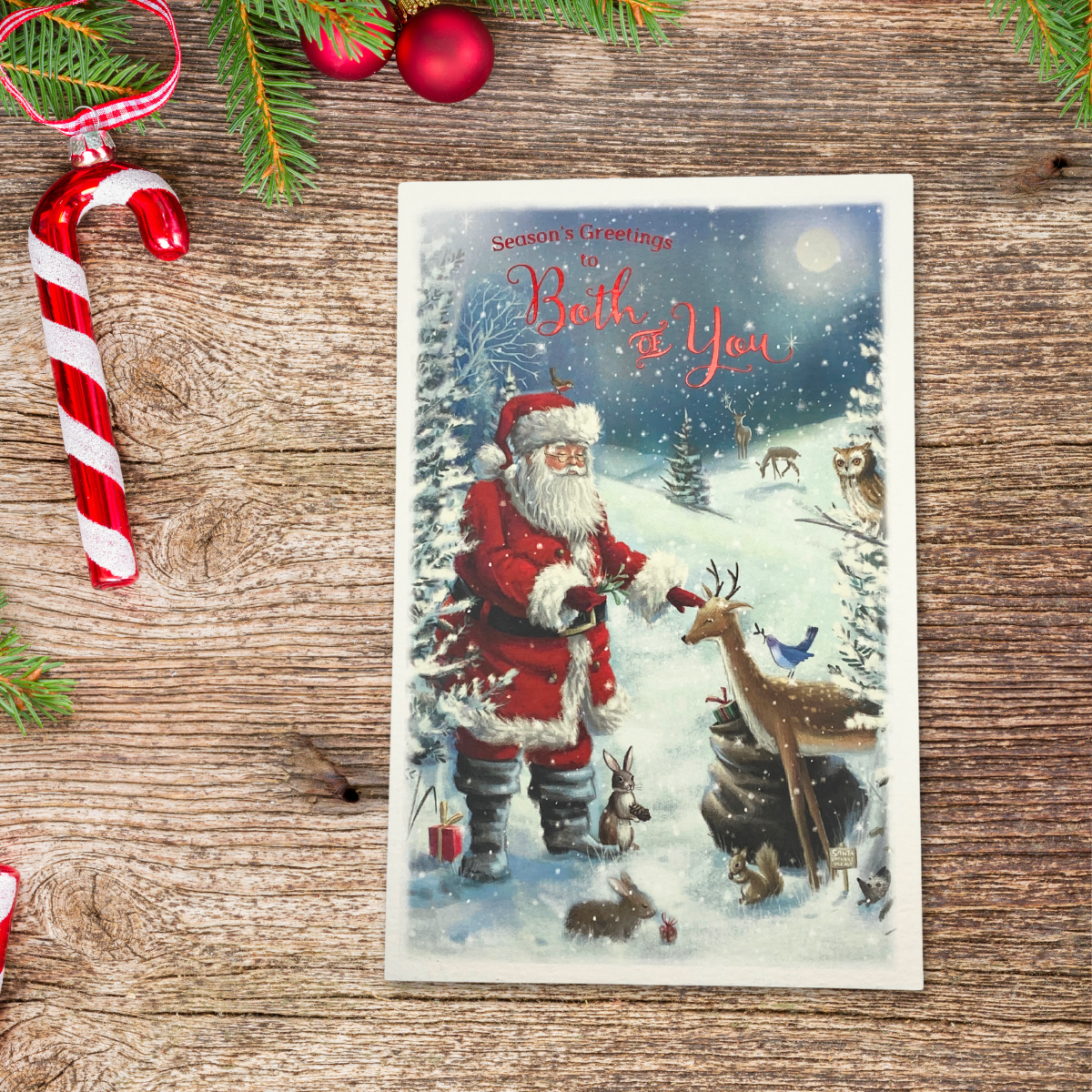 Both Of You Christmas Card - Santa & Woodland Animals