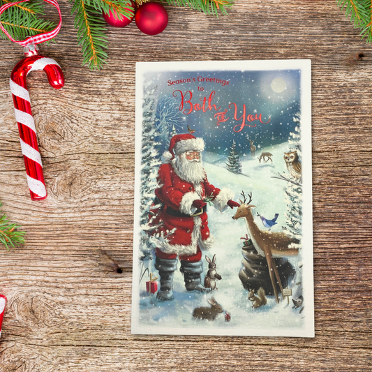 Both Of You Christmas Card - Santa & Woodland Animals