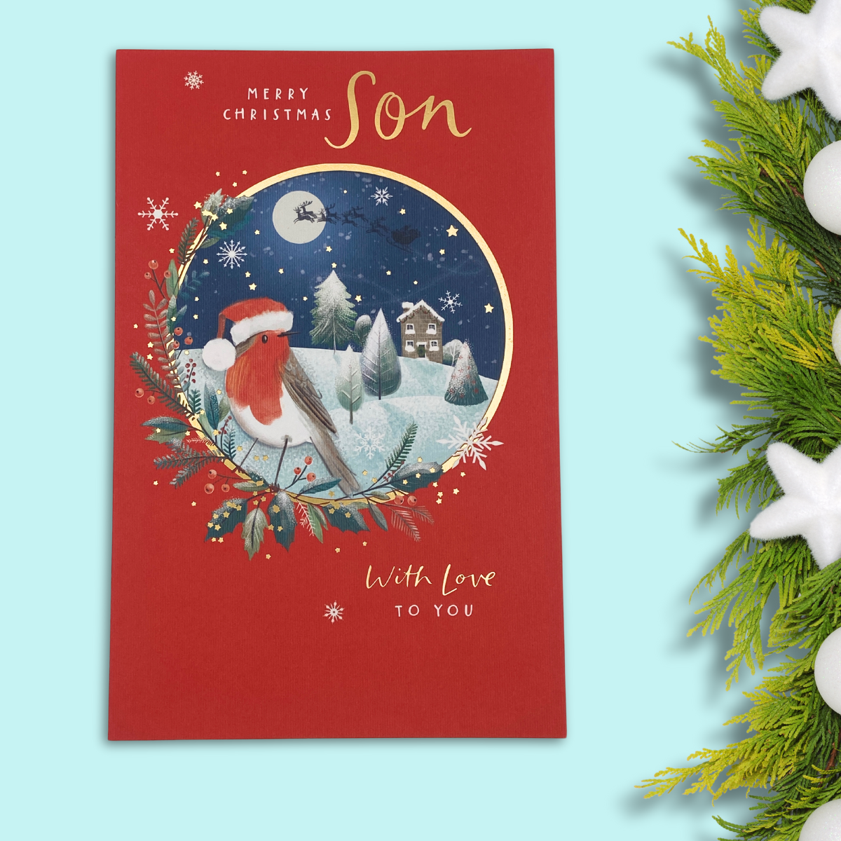 Son Christmas Card - Robin & Sleigh Scene