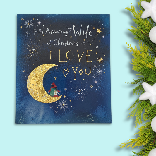 Wife Christmas Card - Night Sky Moon Couple