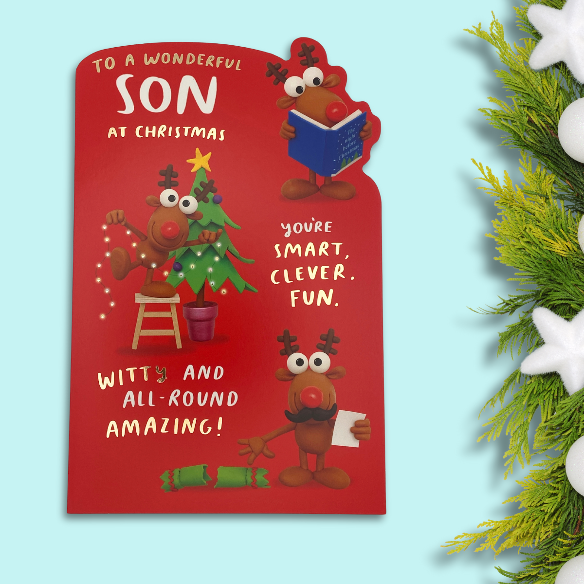 Son Christmas Card - Humour Crackers