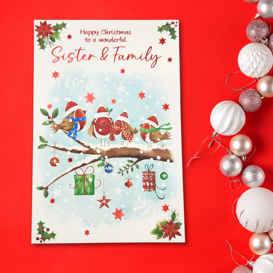 Sister & Family Christmas Card - Robins On The Branch