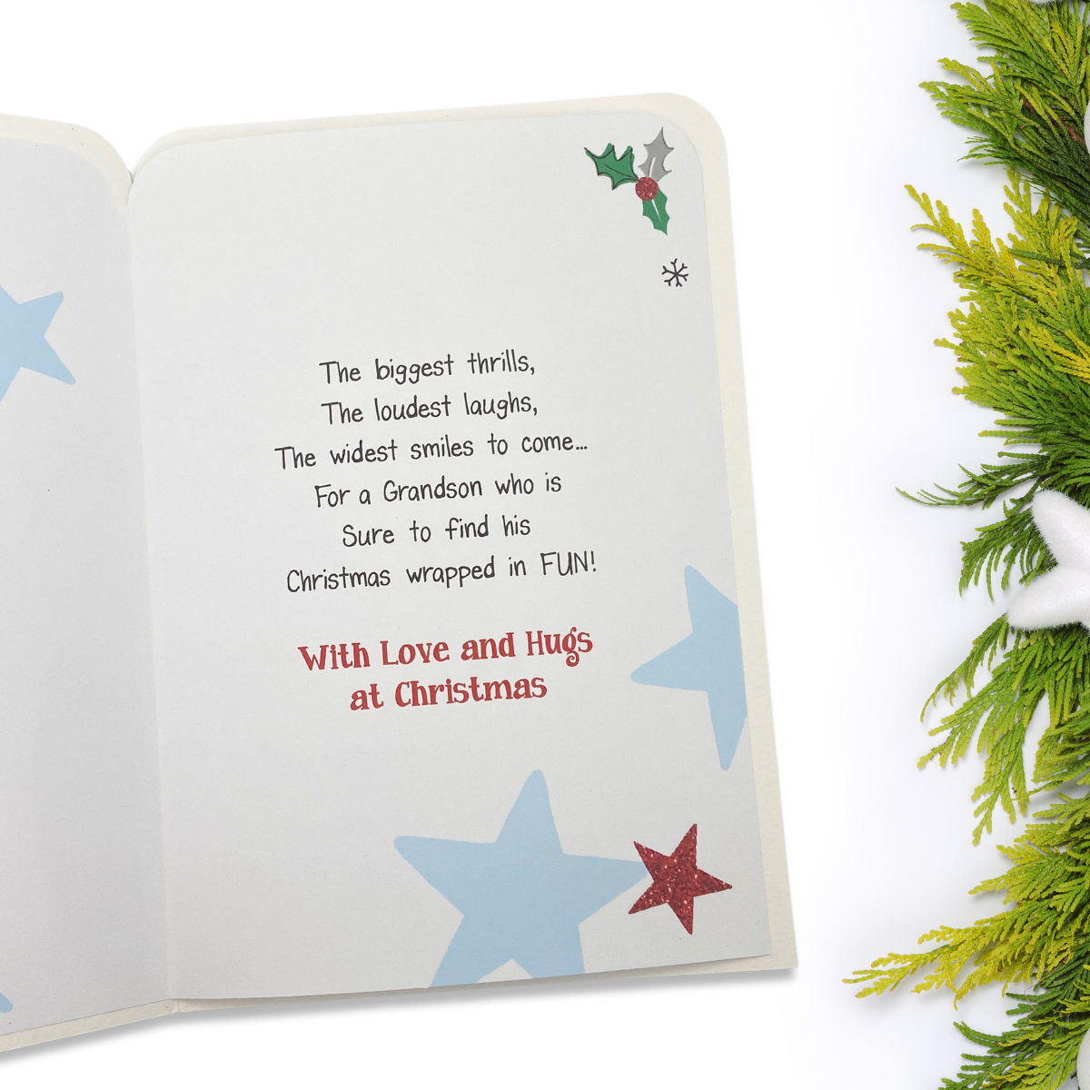 Grandson Christmas Card - Twingles