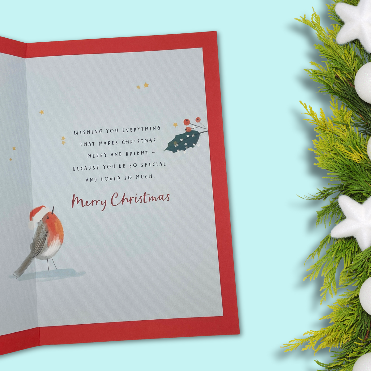 Son Christmas Card - Robin & Sleigh Scene