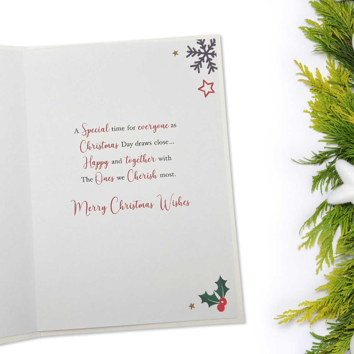 All The Family Christmas Card - Signature Dalmations