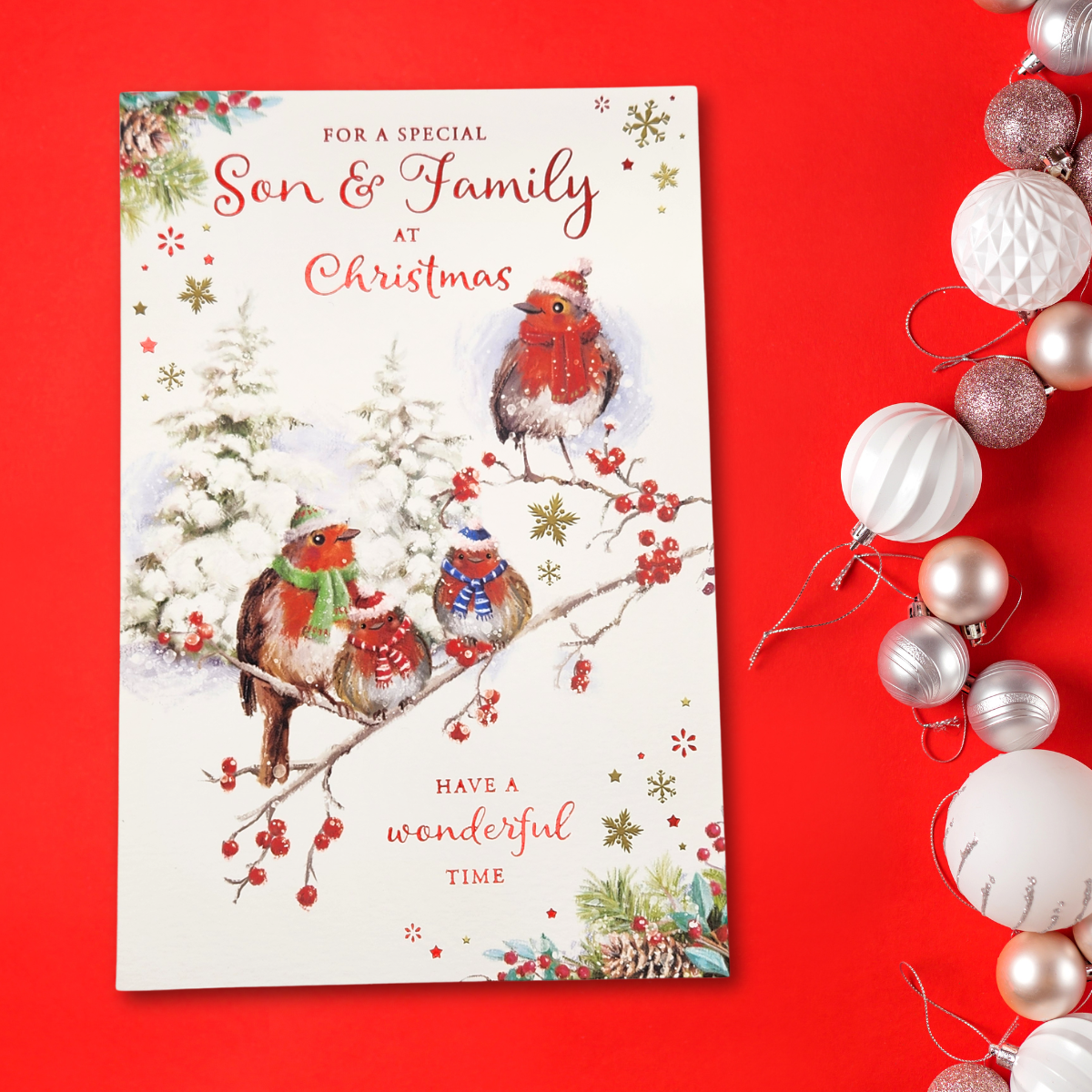 Son & Family Christmas Card - Robins On A Branch