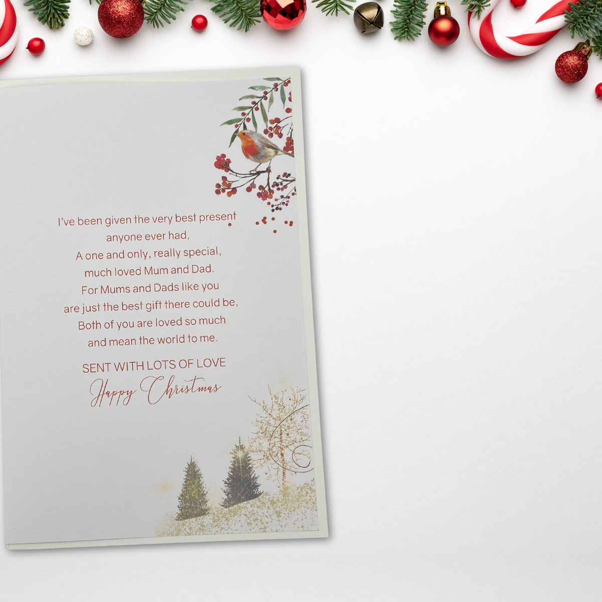 Mum & Dad Christmas Card - Grace Postbox & Robins