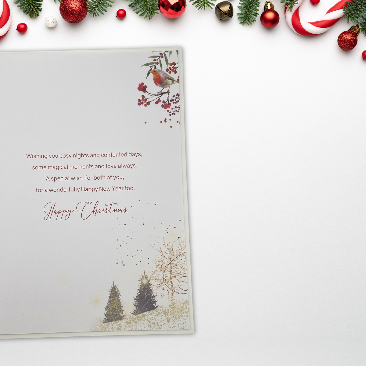 Special Couple Christmas Card - Large Grace Postbox & Robins