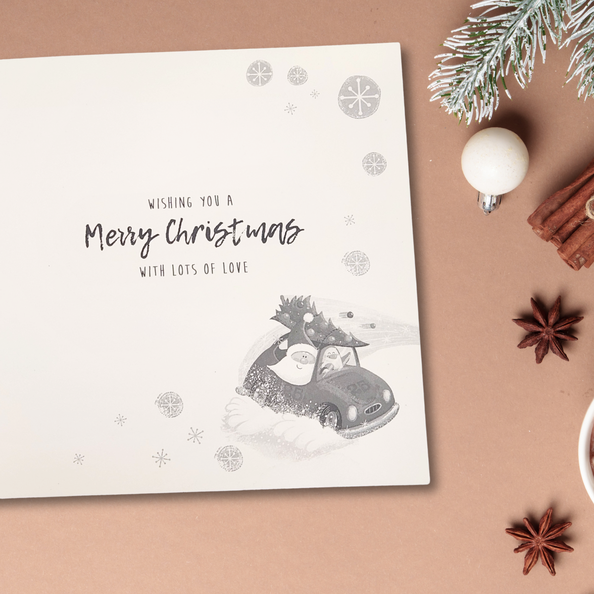 Grandson Christmas Card - Santa & Penguin