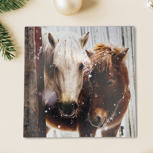 Open Photographic Christmas Card - RSPCA Pair Of Ponies In Snow