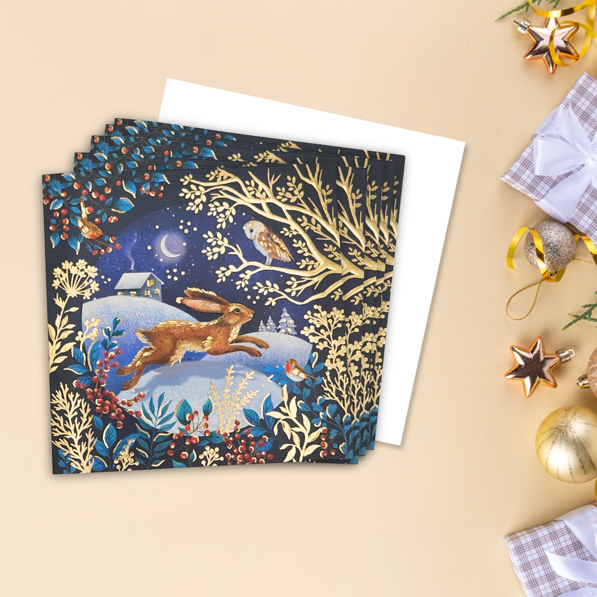 8 x Christmas Cards In Box - Rabbit & Owl