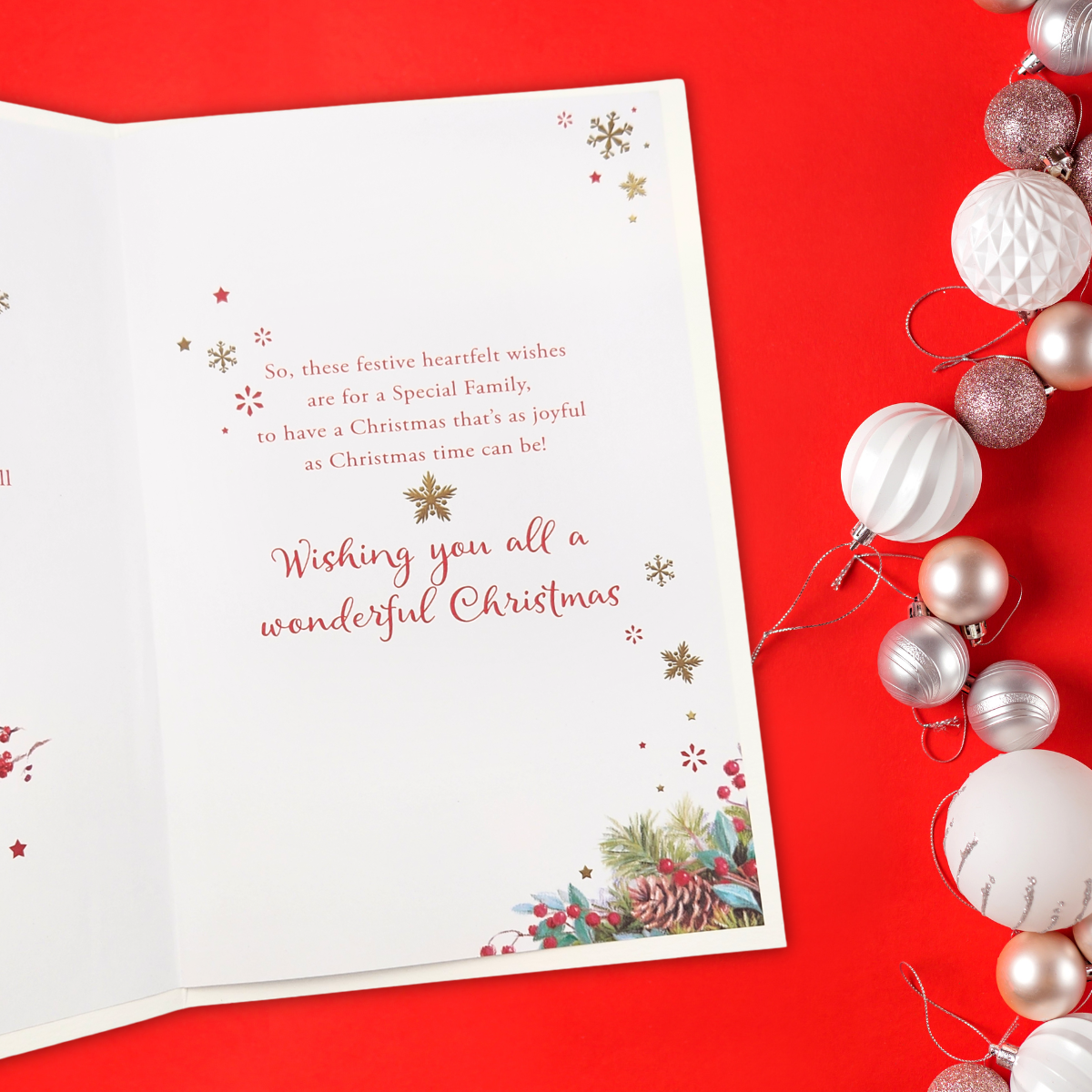 Son & Family Christmas Card - Robins On A Branch