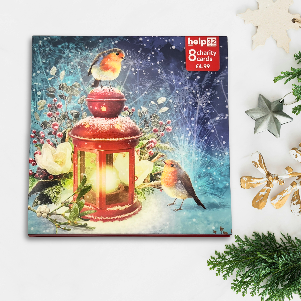 Charity Christmas Cards - 8 x Robins & Lanterns