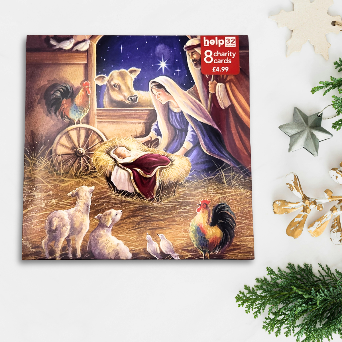 Charity Christmas Cards - 8 x Nativity Scene