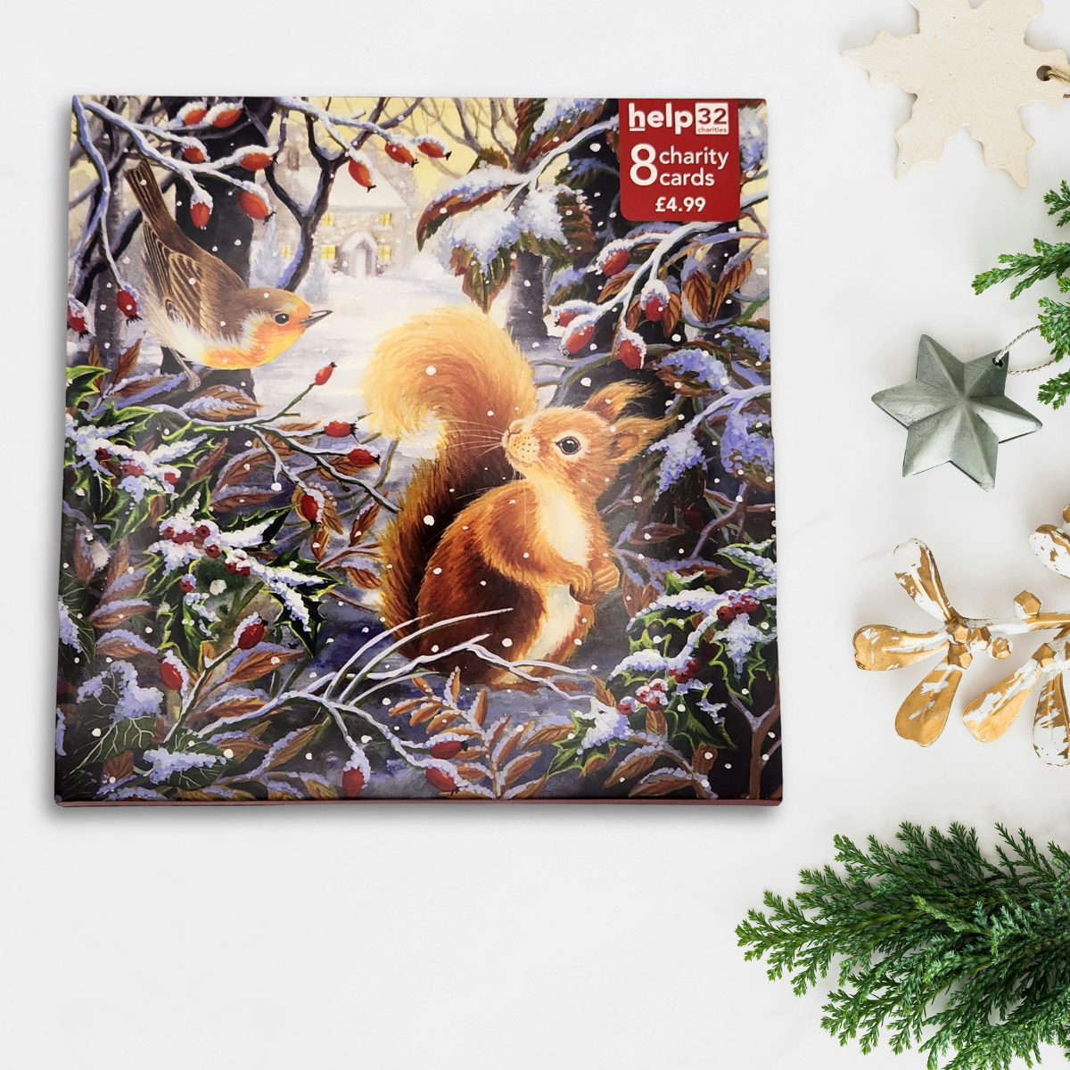 Charity Christmas Cards - 8 x Squirrel & Robin