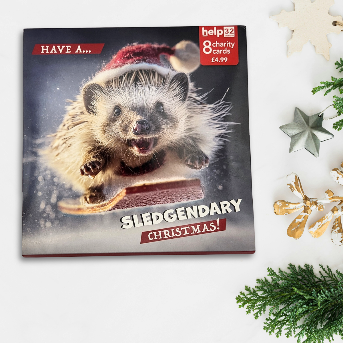 Charity Christmas Cards - 8 x Slegendary Hedgehog
