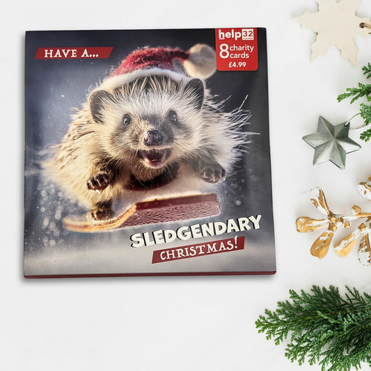 Charity Christmas Cards - 8 x Slegendary Hedgehog