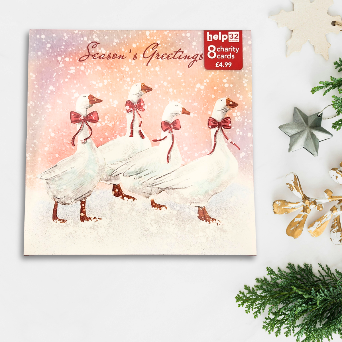 Charity Christmas Cards - 8 x Season's Greetings Geese