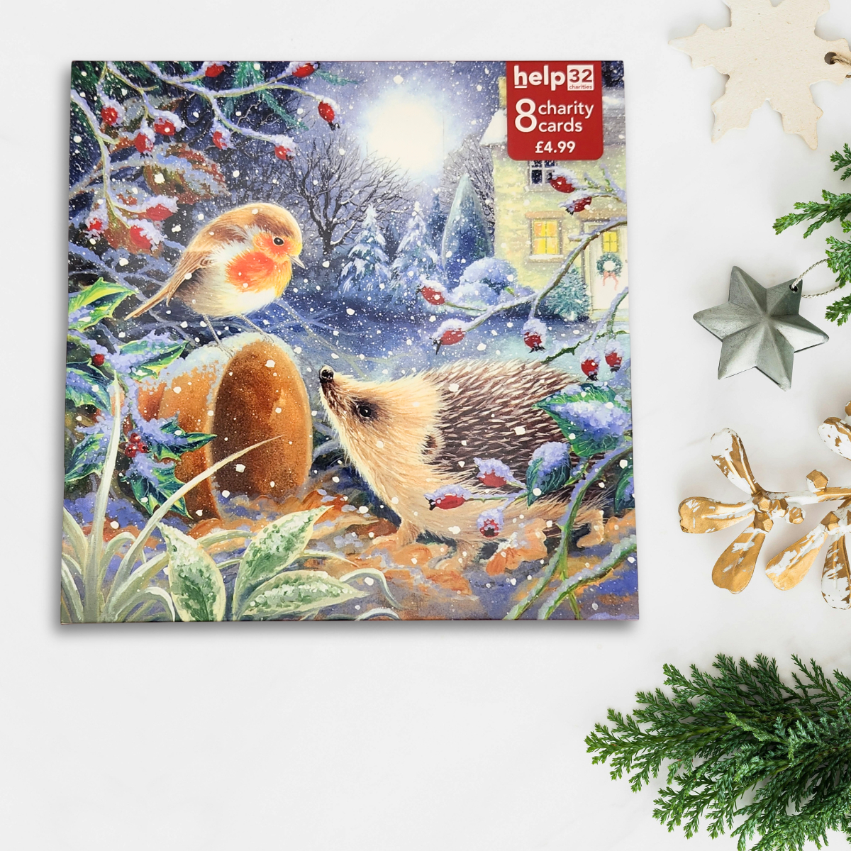 Charity Christmas Cards - 8 x Hedgehog & Robin