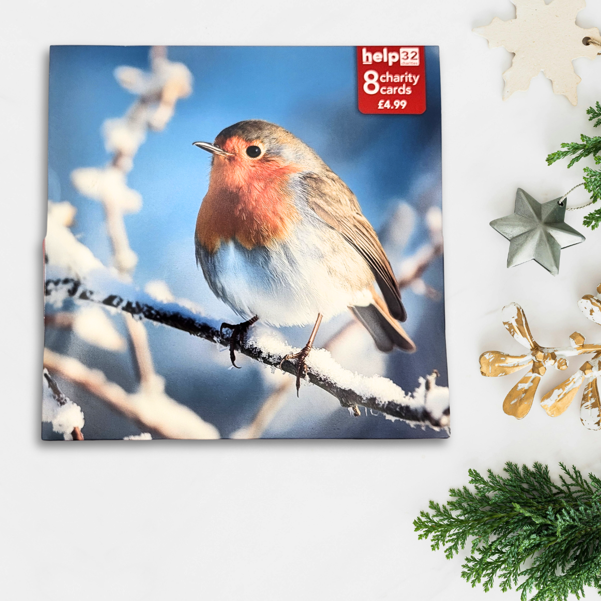 Charity Christmas Cards - 8 x Photographic Robin