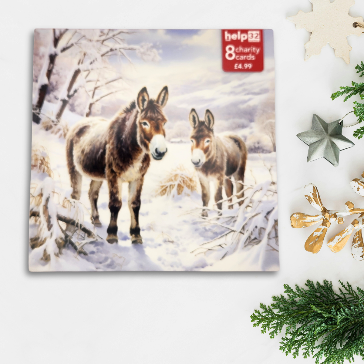 Charity Christmas Cards - 8 x Snowy Donkeys