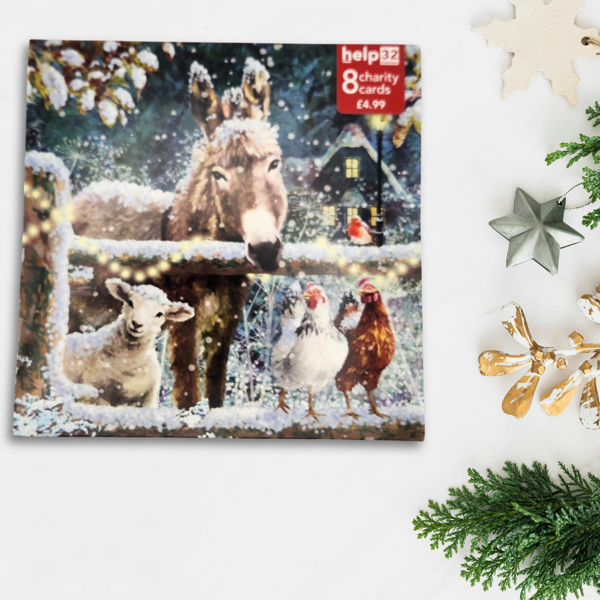 Charity Christmas Cards - 8 x Snowy Donkey & Friends