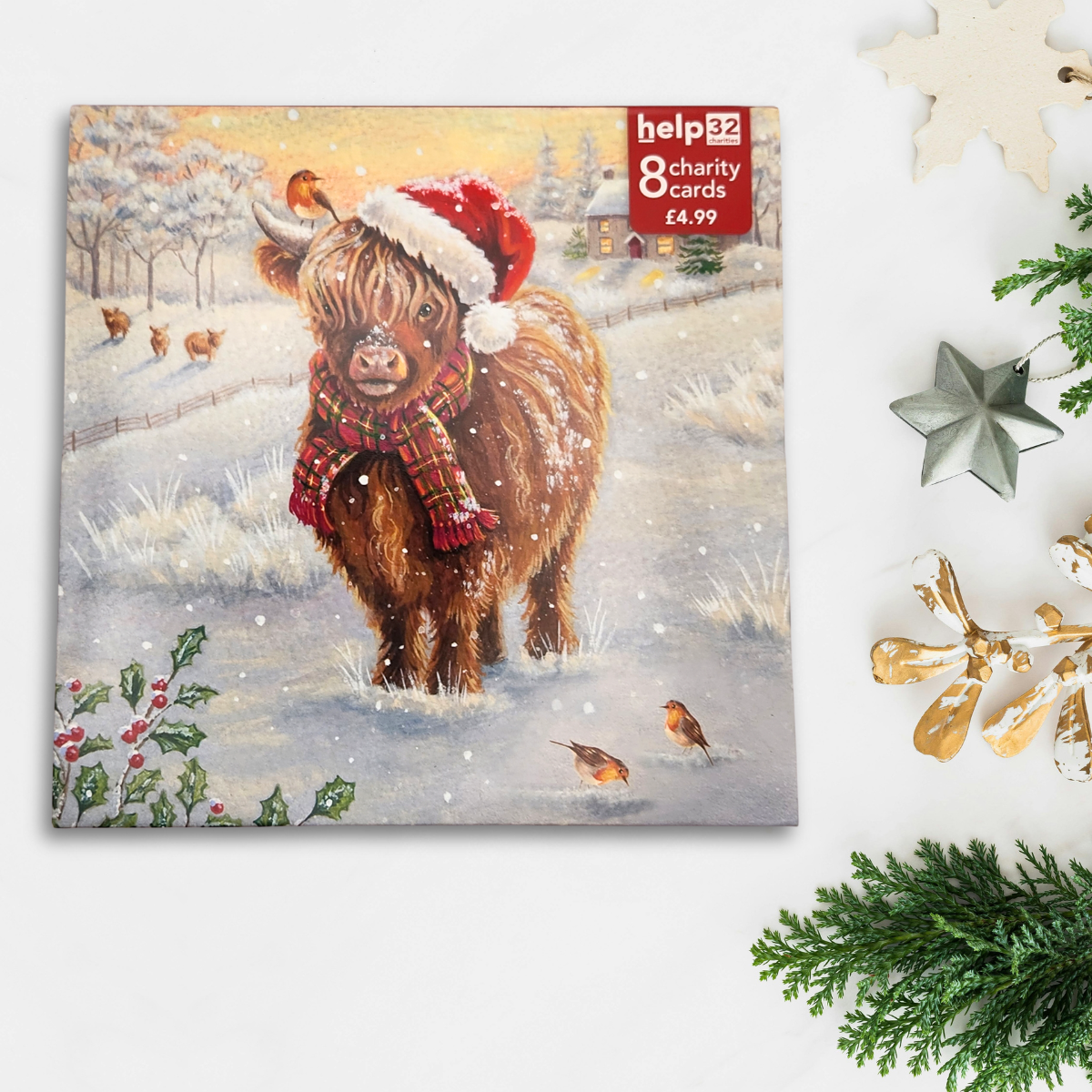 Charity Christmas Cards - 8 x Highland Cow & Robins