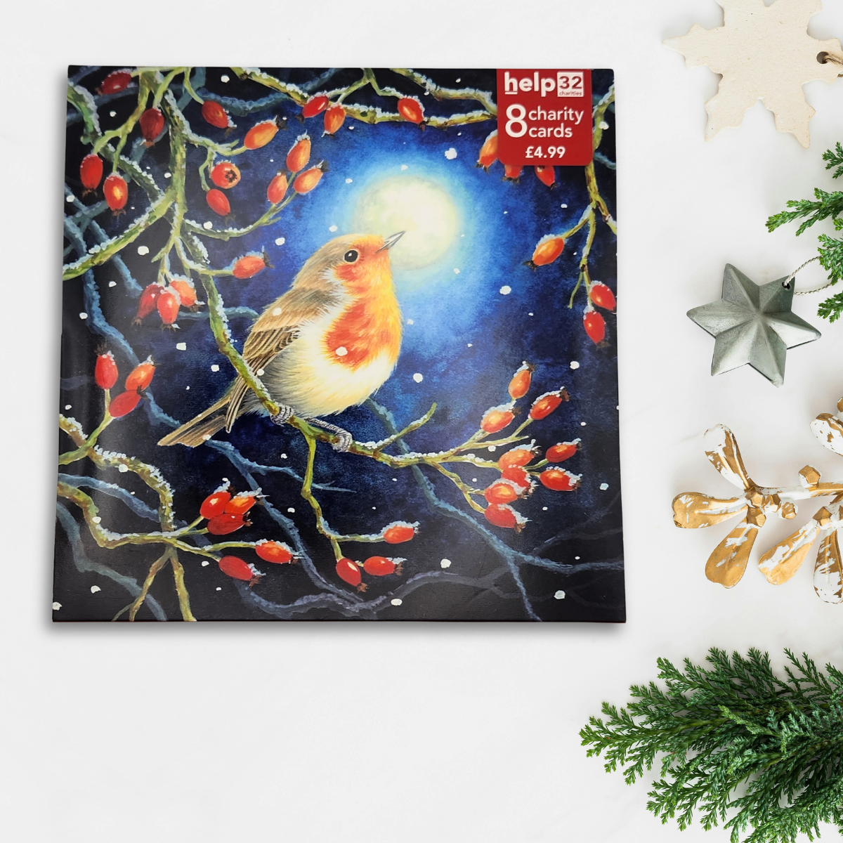 Charity Christmas Cards - 8 x Robin & Berries