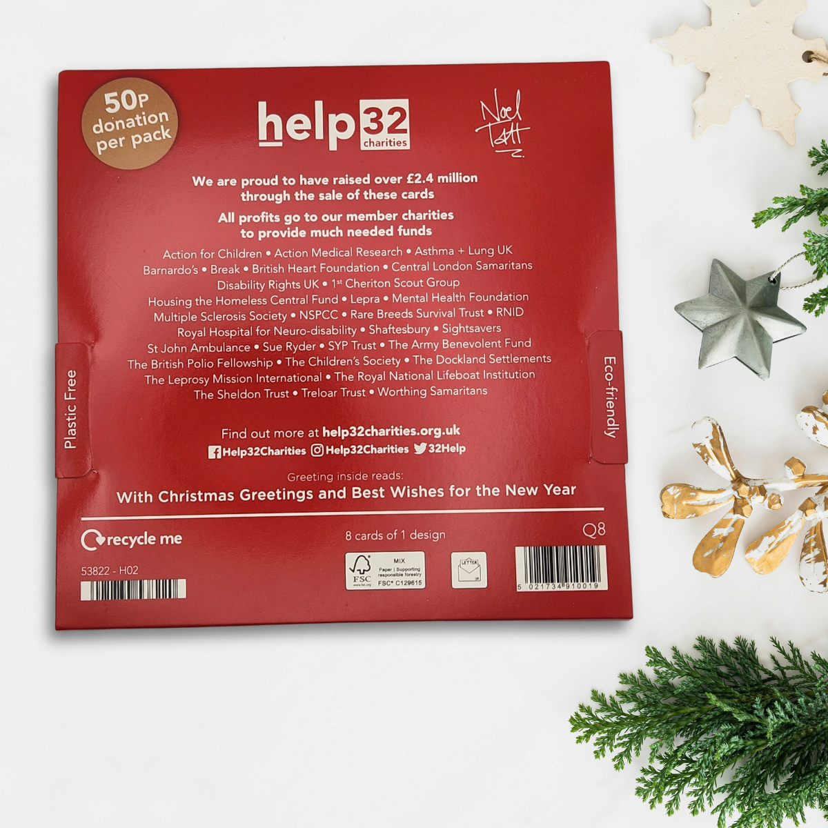 Charity Christmas Cards - 8 x Hedgehog & Robin