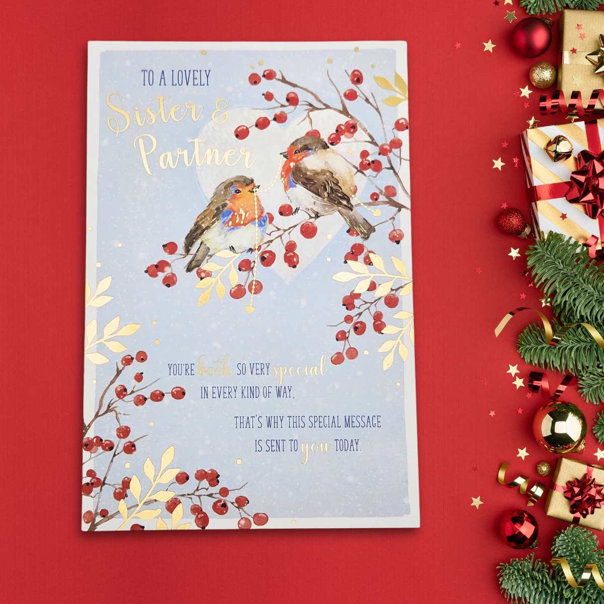 Sister & Partner Christmas Card - Wishing Well Robins