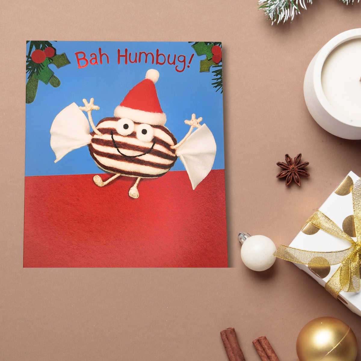 Funny Christmas Card - Bah Humbug