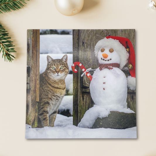 Open Photographic Christmas Card - RSPCA Tabby & Snowman