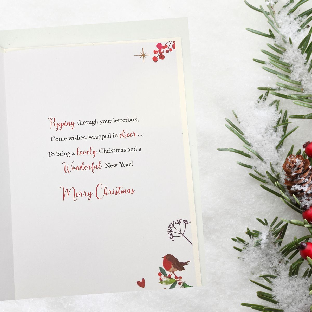 Brother & Sister-In-Law Christmas Card - Signature Seasons