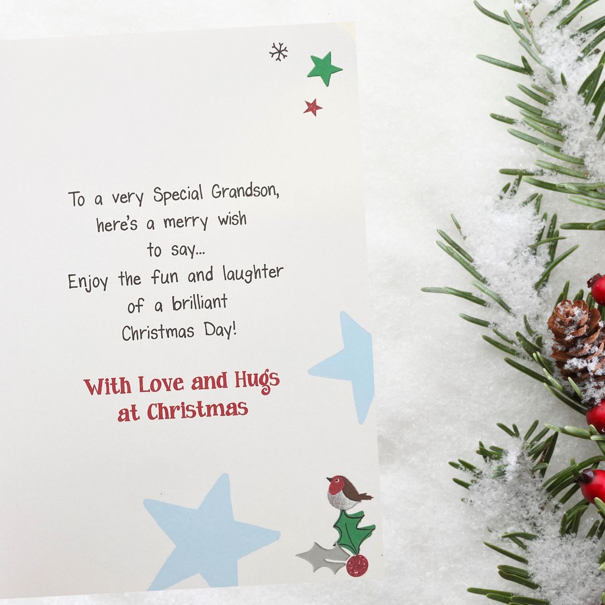 Grandson Christmas Card - Twingles
