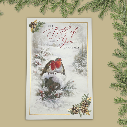 Both Of You Christmas Card - Traditional Robins