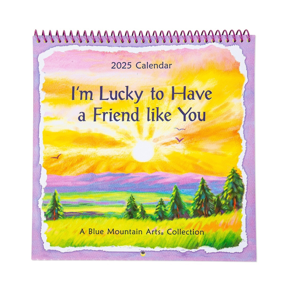 Blue Mountain Arts Calendar 2025 - Im Lucky To Have A Friend Like You