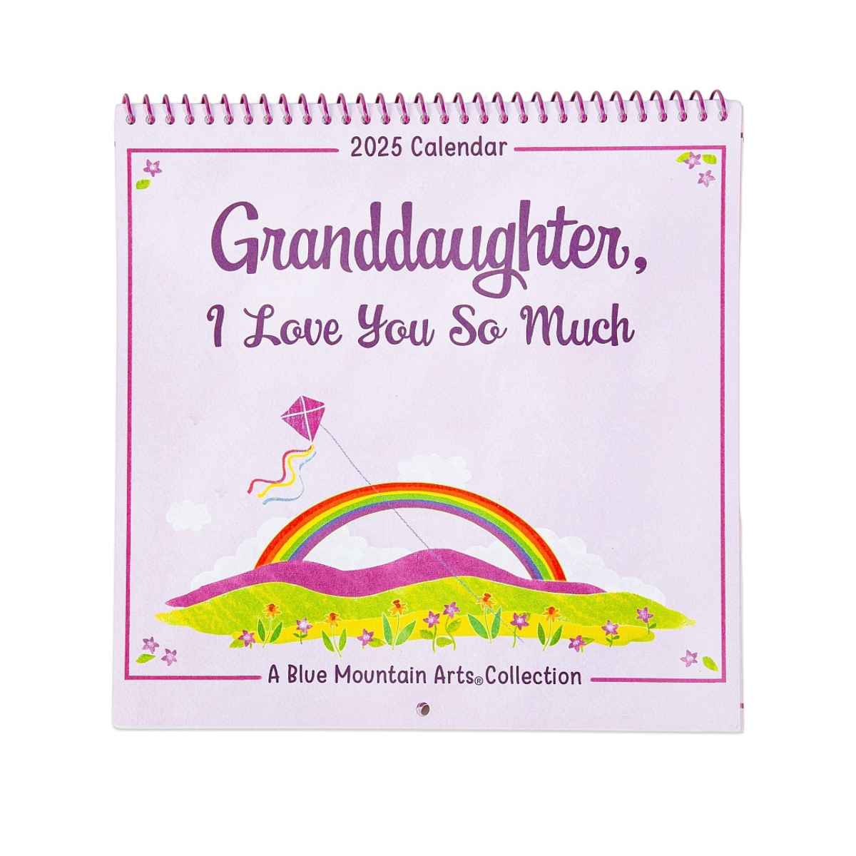 Blue Mountain Arts Calendar 2025 - Grandaughter I Love You So Much