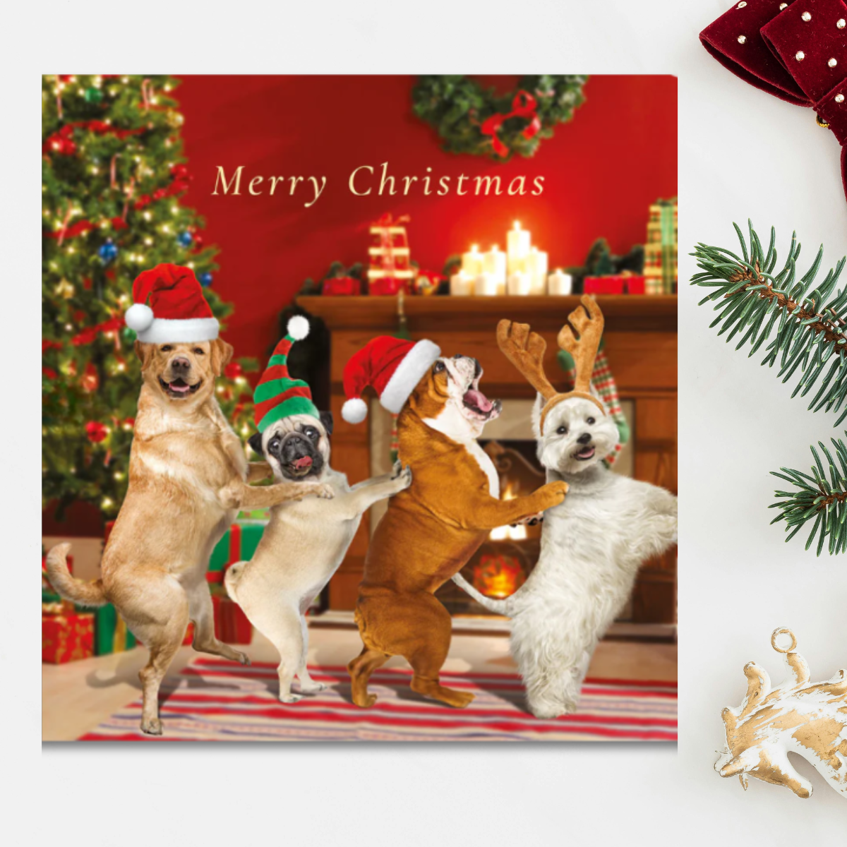 24 x Christmas Cards In Box - Tracks Deluxe Dog Assortment