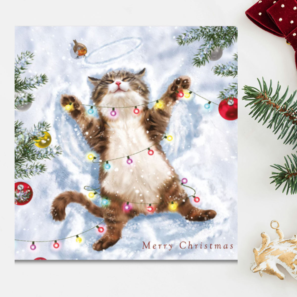 24 x Christmas Cards In Box - Tracks Deluxe Cat Assortment