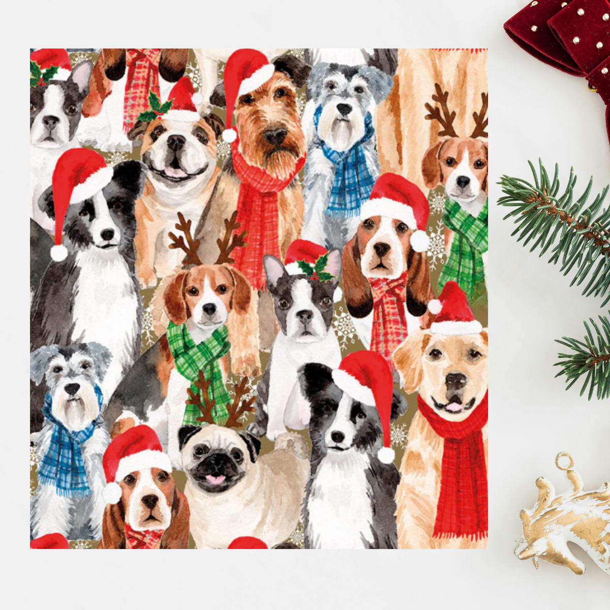 24 x Christmas Cards In Box - Tracks Deluxe Dog Assortment