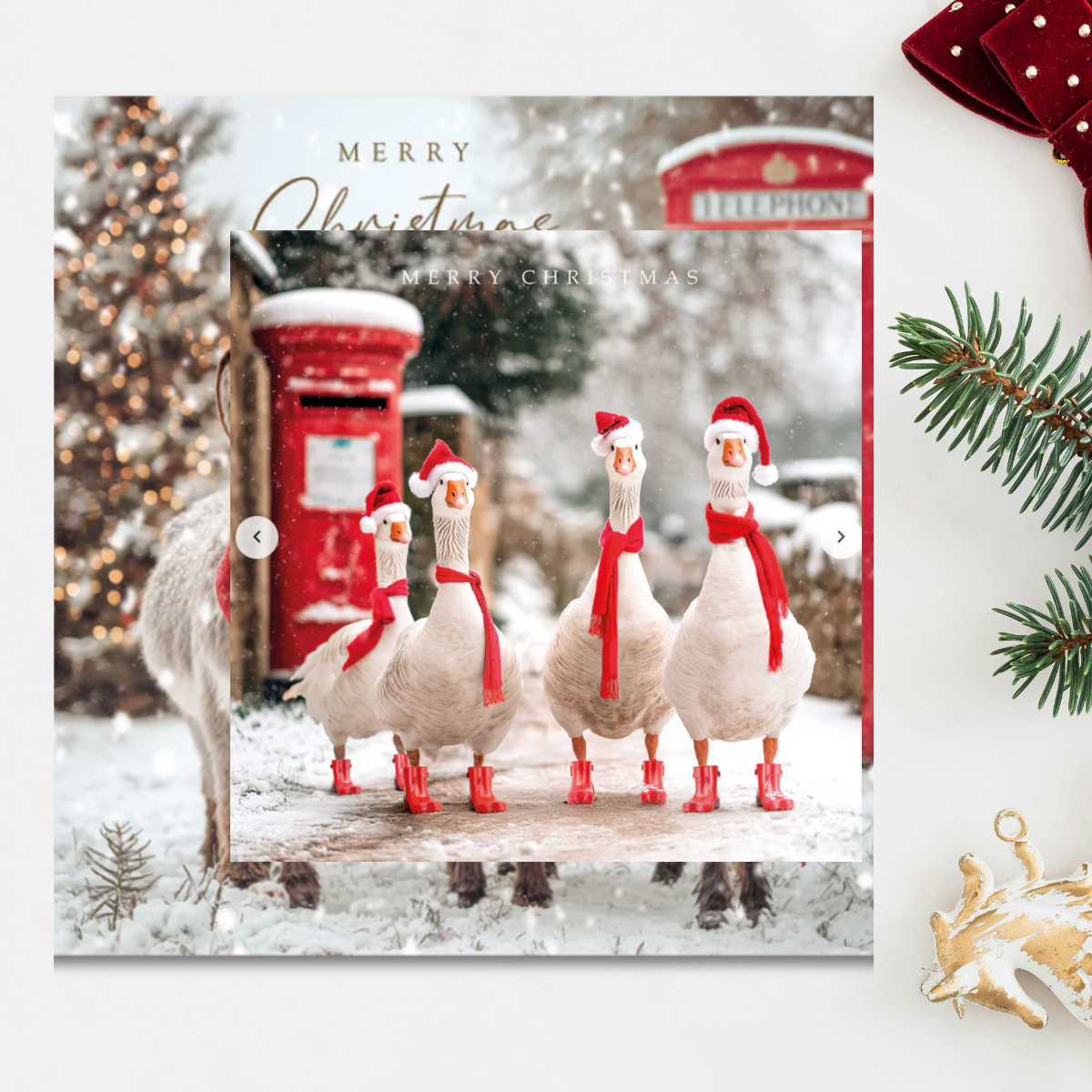 24 x Christmas Cards In Box - Tracks Deluxe Snowy Robins